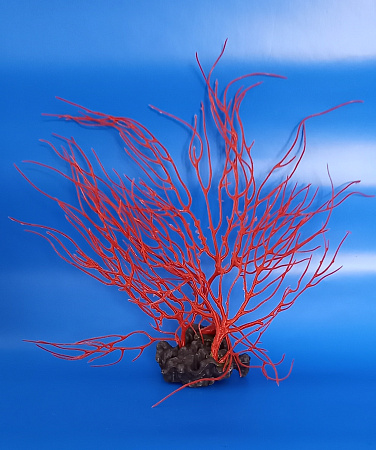 "AquaReef" Декорации