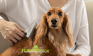 Furminator