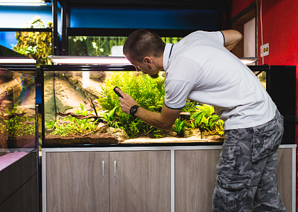 Обслуживание Аквариумов и Террариумов